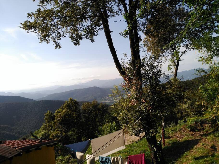 Espacio Acogedor En La Montana